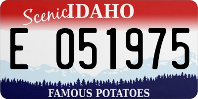 ID license plate E051975
