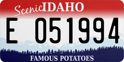 ID license plate E051994