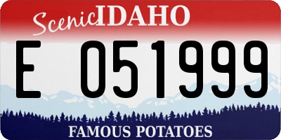 ID license plate E051999