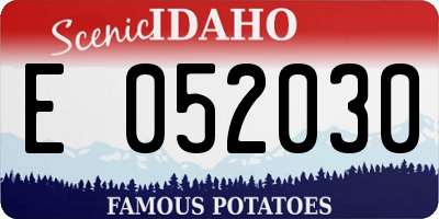 ID license plate E052030