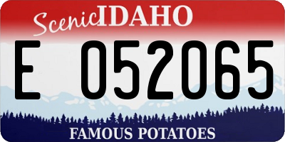 ID license plate E052065
