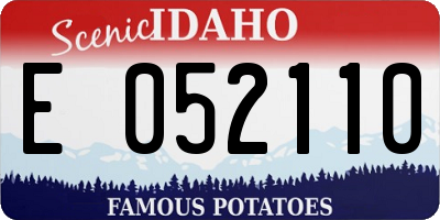 ID license plate E052110