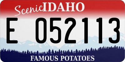 ID license plate E052113