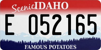 ID license plate E052165