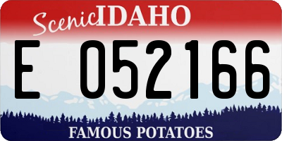 ID license plate E052166