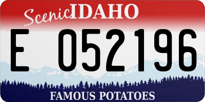 ID license plate E052196