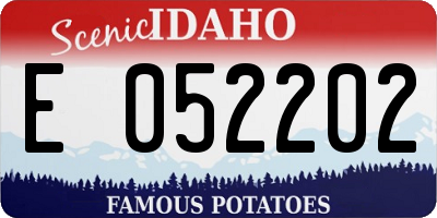ID license plate E052202