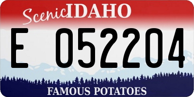 ID license plate E052204