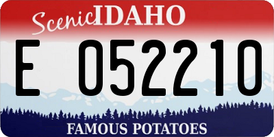 ID license plate E052210