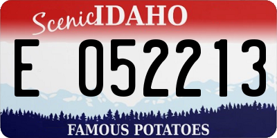 ID license plate E052213