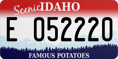ID license plate E052220