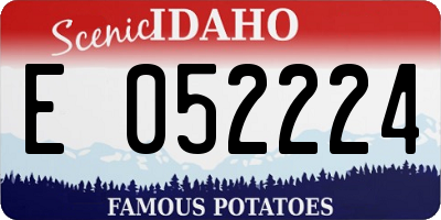 ID license plate E052224