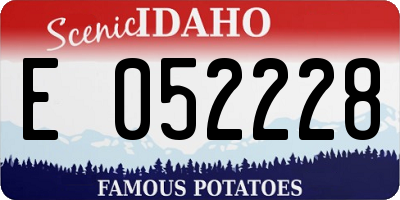 ID license plate E052228