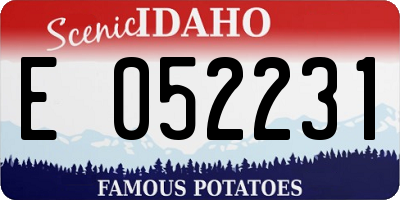 ID license plate E052231