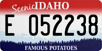 ID license plate E052238
