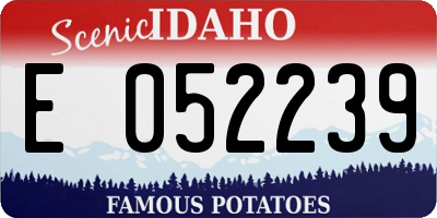 ID license plate E052239