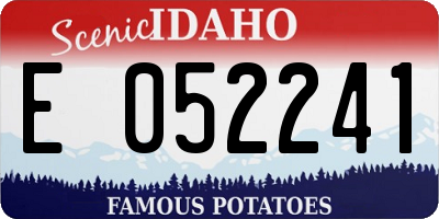 ID license plate E052241