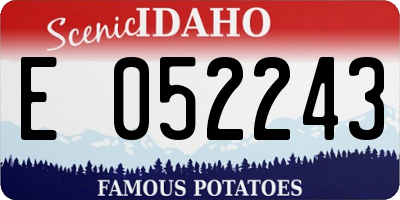 ID license plate E052243