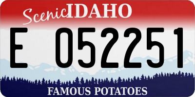 ID license plate E052251