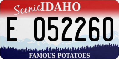 ID license plate E052260