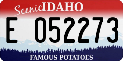 ID license plate E052273