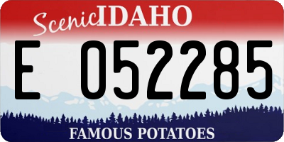ID license plate E052285