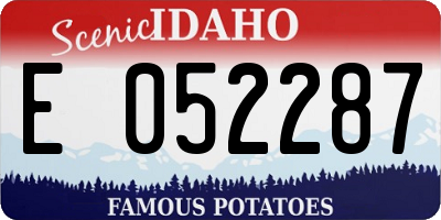ID license plate E052287