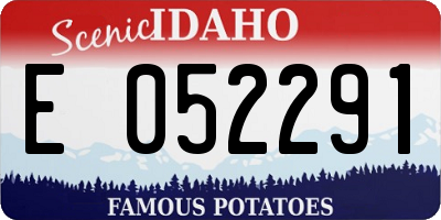 ID license plate E052291