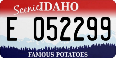 ID license plate E052299