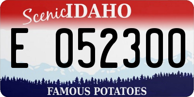 ID license plate E052300