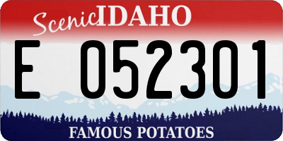 ID license plate E052301