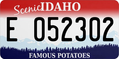 ID license plate E052302
