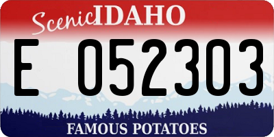 ID license plate E052303