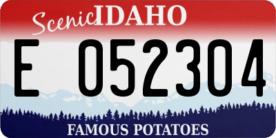 ID license plate E052304