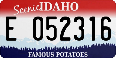 ID license plate E052316