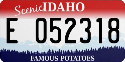 ID license plate E052318