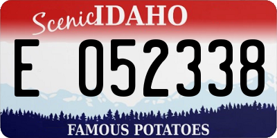 ID license plate E052338