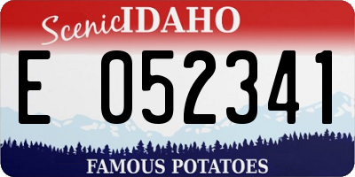 ID license plate E052341