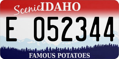 ID license plate E052344