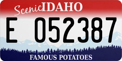 ID license plate E052387