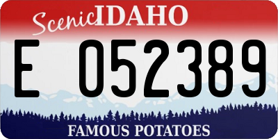 ID license plate E052389
