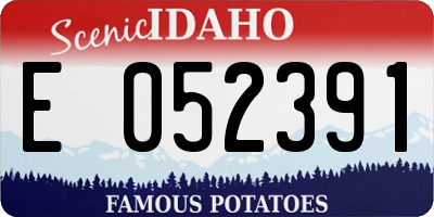 ID license plate E052391