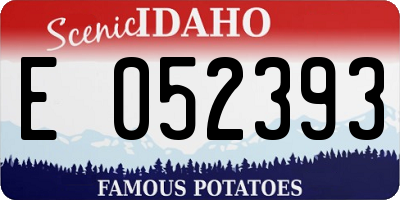 ID license plate E052393