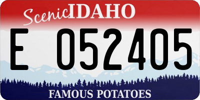 ID license plate E052405