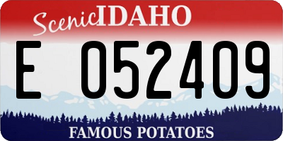 ID license plate E052409