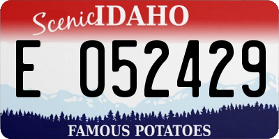 ID license plate E052429