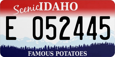 ID license plate E052445
