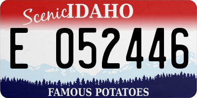 ID license plate E052446
