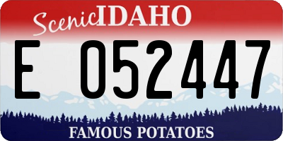 ID license plate E052447