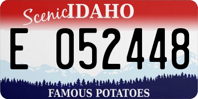 ID license plate E052448
